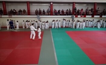Ronin Monza