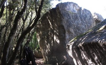 Blocco Red Bull- settore 