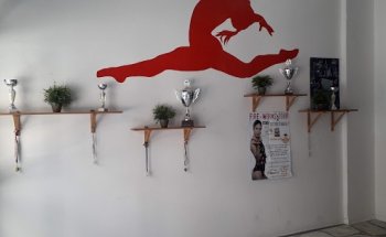 ASD Gymnastix Training Center