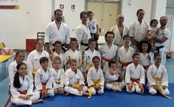 SunShine Dojo