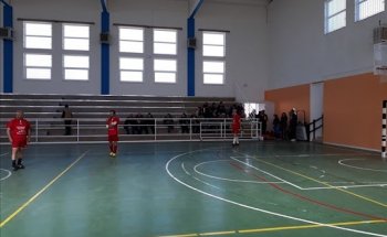 PalaVolta