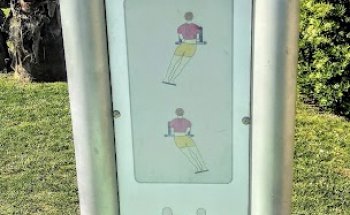 Palestra Pubblica