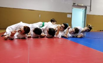 Judoboy energy