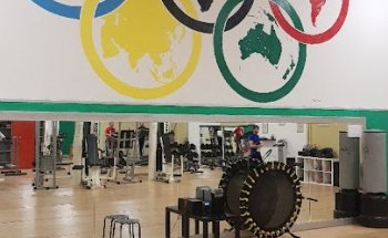 Wonder alpha trainer