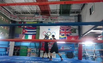 Associazione Pugilistica Dilettantistica De Novellis
