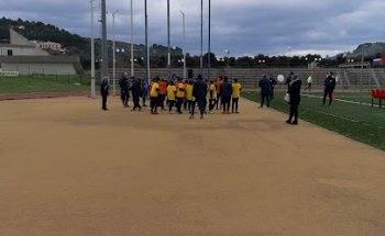 Vieste Omnisport