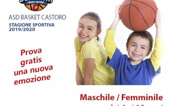 asd basket castoro