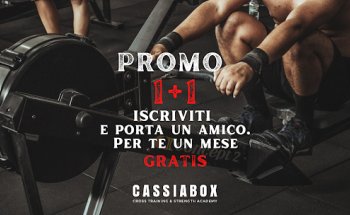 CASSIA BOX