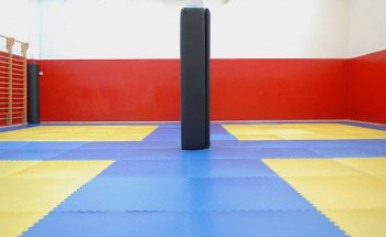 Stars Fighting - Sport da Combattimento e Arti Marziali