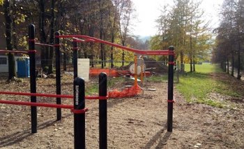 Parco Calisthenics Torino