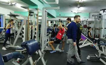 Palestra Lions