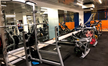 Palestra Monkey Gym