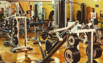 Palestra Fitness Evolution Talsano