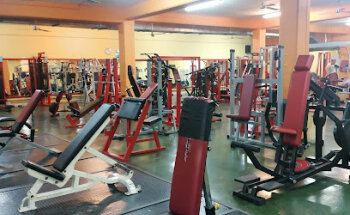 Palestra Golden Power