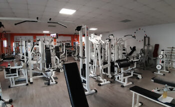 Palaistike Associazione Sportiva