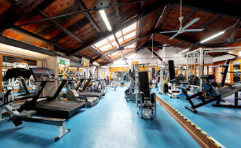 Palestra Querini