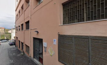 Palestra Antaeus