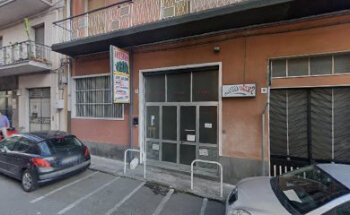 Palestra Vigor