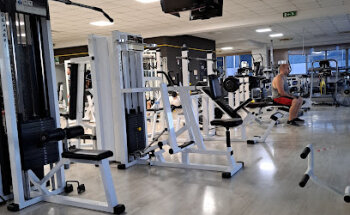 Palestra Perfect Line