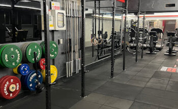 La Palestra di via Puccini