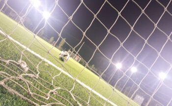 Campetti Mercuri - Pigna