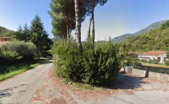 A.S.D. Ginniclub Camaiore