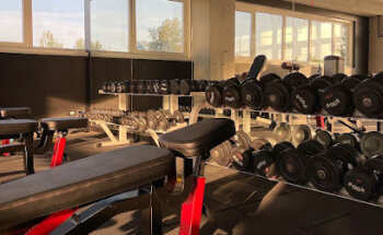 Palestra Scorpion