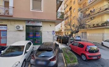 Palestra Flora