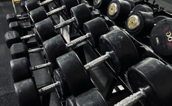 Palestra Lightweight Di Scilipoti Antonino Enrico