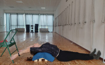 Palestra Panax