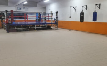 UPPERCUT ASD CECINA