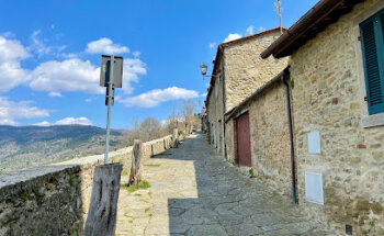 Palestra ex Mattatoio