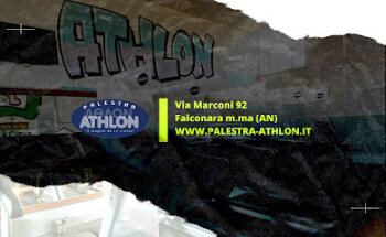 Palestra Athlon SSDaRL