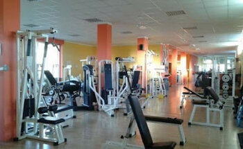 Palestra Dynamica A.S.D.