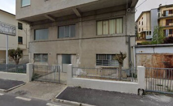 Palestra Gymnova