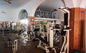 Palestra Americana No1