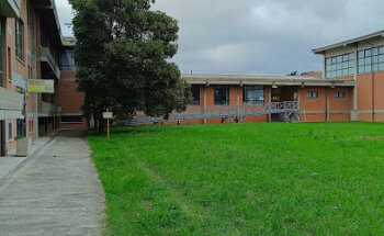 Judo Club Novi