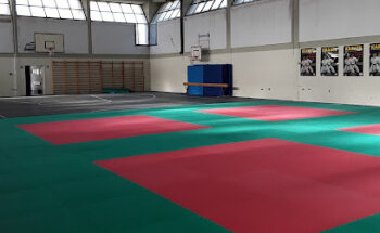 Palestra Comunale viale Bergamo