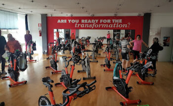 Music Gym