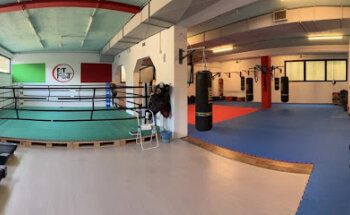 Fit N' Fight