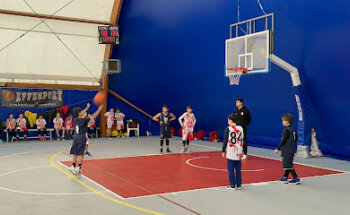 Virtus Basket Pontinia