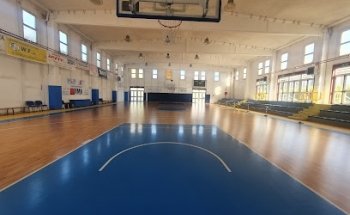 Sports Association Basketball 2000