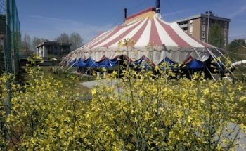 Big Top Monza ASD