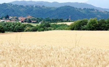 Campo Casatese-Rogoredo