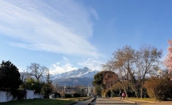 Palestra Comunale