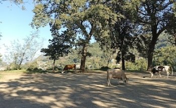 Climbing Area Monte San Liberatore