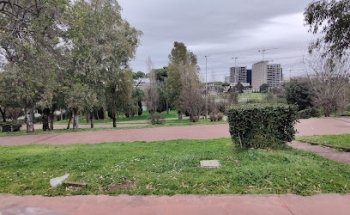Palestra all'aperto Eur