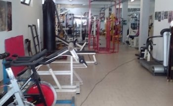 Palestra Vigor