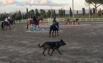 Centro Equestre
