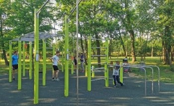 Area Fitness • Calisthenics